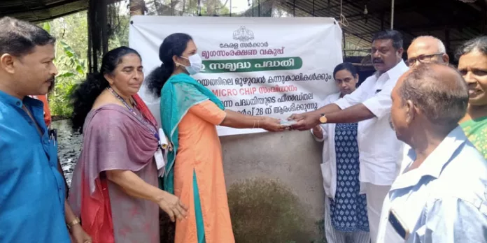 കന്നുകാലികള്ക്ക് മൈക്രോ ചിപ്പ് സംവിധാനം ഏര്പ്പെടുത്തി കന്നുകാലികള്ക്ക് മൈക്രോ ചിപ്പ് സംവിധാനം ഏര്പ്പെടുത്തി