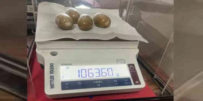 നെടുമ്പാശേരിയിൽ സ്വര്ണ്ണ വേട്ട ; മലദ്വാരത്തിനകത്ത് ഗുളികകളുടെ രൂപത്തിലാക്കി കടത്തിയ സ്വര്ണ്ണവുമായി ഒരാൾ പിടിയില് നെടുമ്പാശേരിയിൽ സ്വര്ണ്ണ വേട്ട ; മലദ്വാരത്തിനകത്ത് ഗുളികകളുടെ രൂപത്തിലാക്കി കടത്തിയ സ്വര്ണ്ണവുമായി ഒരാൾ പിടിയില്