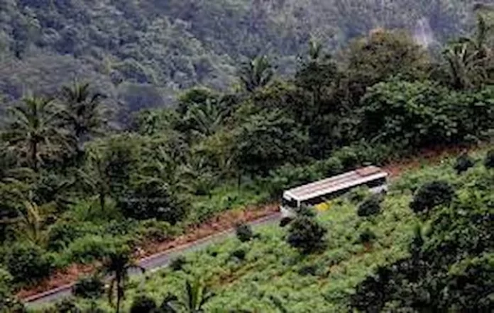 ഭീതി പടര്ത്തി അജ്ഞാത ജീവി ; തീക്കുനിയില് നാട്ടുകാര് ആശങ്കയില് ഭീതി പടര്ത്തി അജ്ഞാത ജീവി ; തീക്കുനിയില് നാട്ടുകാര് ആശങ്കയില്