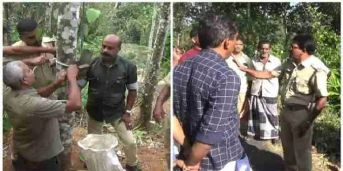 ഇടുക്കി മാലിക്കിത്തിൽ പുലിയെ പിടിക്കാന് വനംവകുപ്പ് നടപടി തുടങ്ങി; ക്യാമറ ട്രാപ്പ് സ്ഥാപിച്ചു ഇടുക്കി മാലിക്കിത്തിൽ പുലിയെ പിടിക്കാന് വനംവകുപ്പ് നടപടി തുടങ്ങി; ക്യാമറ ട്രാപ്പ് സ്ഥാപിച്ചു