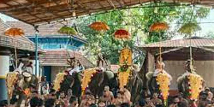 കാർത്യായനി ഭഗവതി ക്ഷേത്രത്തിൽ ഏഴ് പിടിയാനകളുമായി പൂരം കാർത്യായനി ഭഗവതി ക്ഷേത്രത്തിൽ ഏഴ് പിടിയാനകളുമായി പൂരം