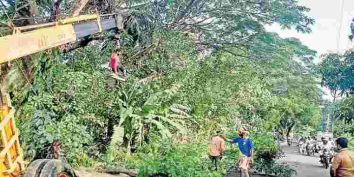ജി–20 ഉച്ചകോടി ; ഉദ്യോഗസ്ഥർക്കു സുഗമമായി സഞ്ചരിക്കാൻ റോഡിലേക്ക് ചാഞ്ഞ മരങ്ങൾ മുറിക്കുന്നു ജി–20 ഉച്ചകോടി ; ഉദ്യോഗസ്ഥർക്കു സുഗമമായി സഞ്ചരിക്കാൻ റോഡിലേക്ക് ചാഞ്ഞ മരങ്ങൾ മുറിക്കുന്നു