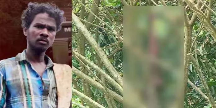 ആദിവാസി യുവാവ് വിശ്വനാഥന്റെ മരണം ; അന്വേഷണം ക്രൈംബ്രാഞ്ചിന് വിടും ആദിവാസി യുവാവ് വിശ്വനാഥന്റെ മരണം ; അന്വേഷണം ക്രൈംബ്രാഞ്ചിന് വിടും