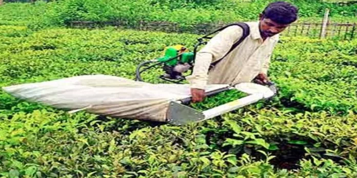സമരത്തിനൊരുങ്ങി മൂന്നാറിലെ തോട്ടം തൊഴിലാളികൾ സമരത്തിനൊരുങ്ങി മൂന്നാറിലെ തോട്ടം തൊഴിലാളികൾ