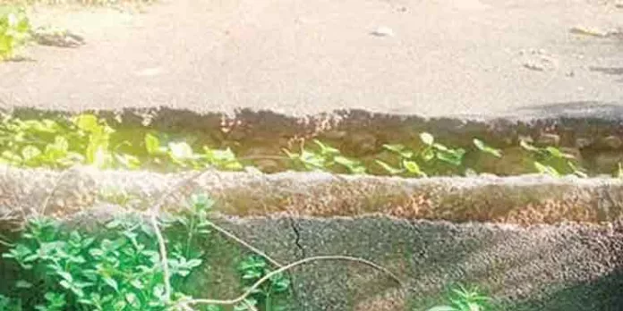 ഓതറയിൽ കലുങ്ക് തകർന്ന് നാടിന്റെ ഗതാഗതം നിലച്ചു ഓതറയിൽ കലുങ്ക് തകർന്ന് നാടിന്റെ ഗതാഗതം നിലച്ചു