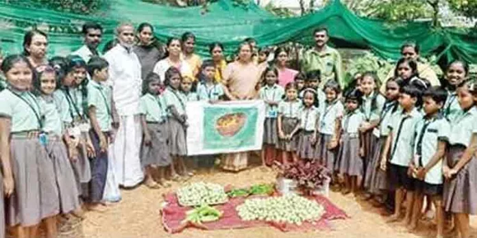 ഗവ.എസ്.സി.വി.എൽ.പി. സ്കൂളിൽ സീഡ് ക്ലബ്ബിന്റെ നേതൃത്വത്തിൽ വിളവെടുപ്പ് നടത്തി ഗവ.എസ്.സി.വി.എൽ.പി. സ്കൂളിൽ സീഡ് ക്ലബ്ബിന്റെ നേതൃത്വത്തിൽ വിളവെടുപ്പ് നടത്തി
