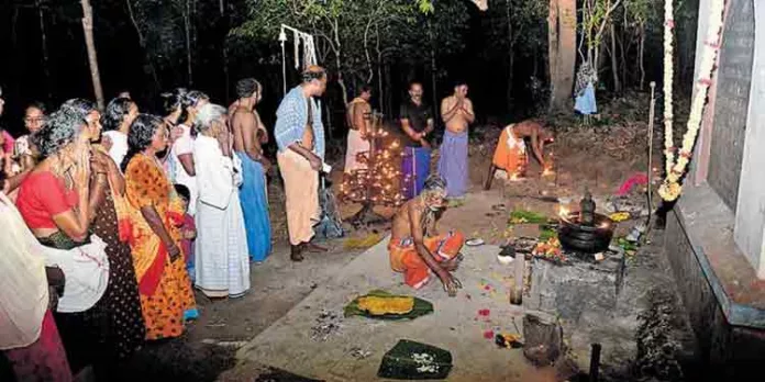 മലമ്പണ്ടാര ഗോത്രത്തിന്റെ നേതൃത്വത്തിൽ അടയേറ് പൂജ നടത്തി മലമ്പണ്ടാര ഗോത്രത്തിന്റെ നേതൃത്വത്തിൽ അടയേറ് പൂജ നടത്തി