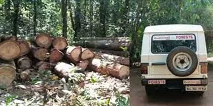 മൂന്നാറിലെ ജനവാസമേഖലയിൽ ആക്രമണം നടത്തുന്ന അരിക്കൊമ്പന് കൂട് നിർമ്മിക്കാനുള്ള മരത്തടികൾ ഇറക്കിയതിനെച്ചൊല്ലി തർക്കം മൂന്നാറിലെ ജനവാസമേഖലയിൽ ആക്രമണം നടത്തുന്ന അരിക്കൊമ്പന് കൂട് നിർമ്മിക്കാനുള്ള മരത്തടികൾ ഇറക്കിയതിനെച്ചൊല്ലി തർക്കം