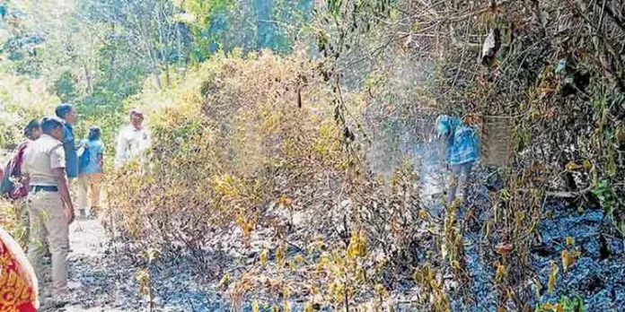 വനാതിർത്തിയിൽ കാട്ടുതീ പടർന്നു വനാതിർത്തിയിൽ കാട്ടുതീ പടർന്നു