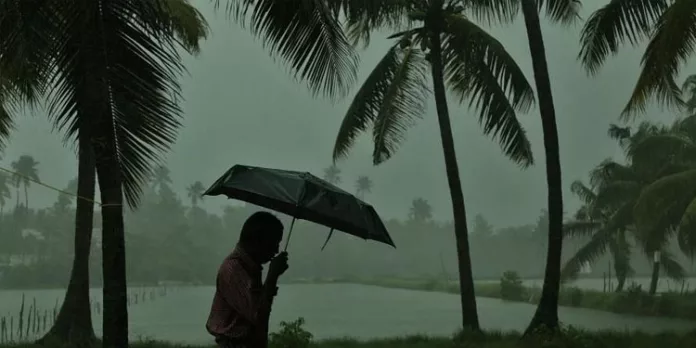 സംസ്ഥാനത്ത് വരും മണിക്കൂറിൽ 13 ജില്ലകളിൽ മഴയ്ക്ക് സാധ്യത സംസ്ഥാനത്ത് വരും മണിക്കൂറിൽ 13 ജില്ലകളിൽ മഴയ്ക്ക് സാധ്യത