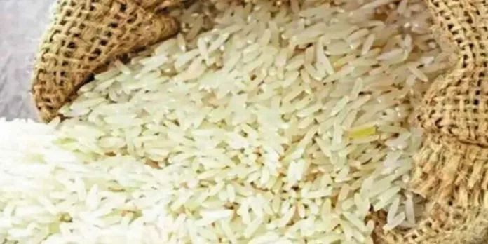 കുട്ടികള്ക്ക് 5 കിലോഗ്രാം അരി ; സ്കൂള് വേനലവധിക്ക് അടയ്ക്കുന്നതിനു മുന്പ് വിതരണം പൂര്ത്തിയാക്കും കുട്ടികള്ക്ക് 5 കിലോഗ്രാം അരി ; സ്കൂള് വേനലവധിക്ക് അടയ്ക്കുന്നതിനു മുന്പ് വിതരണം പൂര്ത്തിയാക്കും