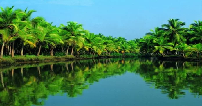 തടയണയിലെ ജലാശയത്തിൽ കുളിക്കാനിറങ്ങിയ യുവാവ് മുങ്ങി മരിച്ചു തടയണയിലെ ജലാശയത്തിൽ കുളിക്കാനിറങ്ങിയ യുവാവ് മുങ്ങി മരിച്ചു