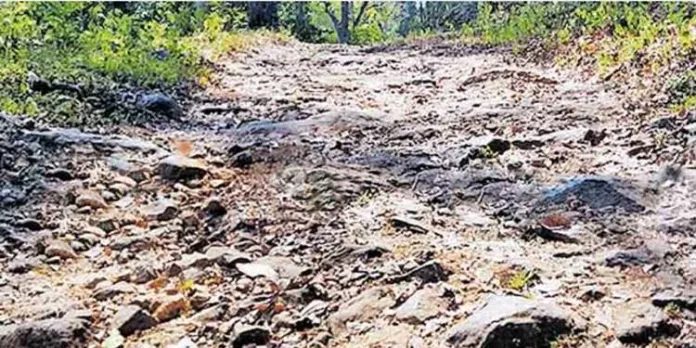 അറ്റകുറ്റപ്പണികളില്ലാതെ അഞ്ചുകുഴി–കുടപ്പനക്കുളം റോഡ് ; വലഞ്ഞ് യാത്രക്കാര് അറ്റകുറ്റപ്പണികളില്ലാതെ അഞ്ചുകുഴി–കുടപ്പനക്കുളം റോഡ് ; വലഞ്ഞ് യാത്രക്കാര്