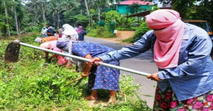 ജില്ലയിലെ തൊഴിലുറപ്പ് തൊഴിലാളികൾക്ക് ഉത്സവബത്ത വിതരണം ചെയ്യും ജില്ലയിലെ തൊഴിലുറപ്പ് തൊഴിലാളികൾക്ക് ഉത്സവബത്ത വിതരണം ചെയ്യും