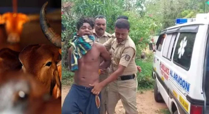 പശുവിനെ പീഡിപ്പിച്ചു കൊന്നു ; കൊല്ലത്ത് യുവാവ് അറസ്റ്റിൽ പശുവിനെ പീഡിപ്പിച്ചു കൊന്നു ; കൊല്ലത്ത് യുവാവ് അറസ്റ്റിൽ