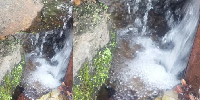 നദിയില് നിന്നും പമ്പു ചെയ്യുന്ന വെള്ളം അതേ വേഗതയില് തിരികെ നദിയിലേക്കു തന്നെ പോവുന്നതായി ആരോപണം നദിയില് നിന്നും പമ്പു ചെയ്യുന്ന വെള്ളം അതേ വേഗതയില് തിരികെ നദിയിലേക്കു തന്നെ പോവുന്നതായി ആരോപണം