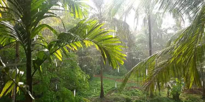 മാർച്ച് 15ന് ശേഷം ജില്ലയിൽ വേനൽ മഴ ; കാലാവസ്ഥാ പ്രവചനം മാർച്ച് 15ന് ശേഷം ജില്ലയിൽ വേനൽ മഴ ; കാലാവസ്ഥാ പ്രവചനം