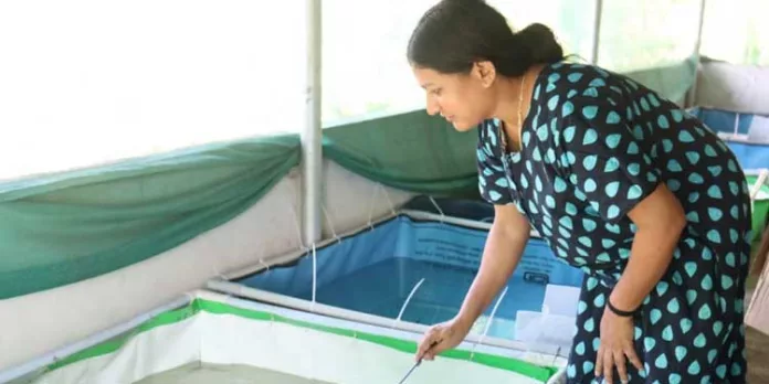 മത്സ്യമേഖലയിലെ സ്ത്രീതിളക്കം : മാതൃകയായി തൃപ്തിയും ദീപയും മത്സ്യമേഖലയിലെ സ്ത്രീതിളക്കം : മാതൃകയായി തൃപ്തിയും ദീപയും