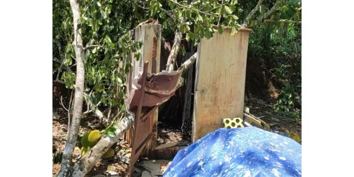 കോന്നിയിൽ ശുചിമുറിയ്ക്ക് മുകളിൽ പ്ലാവ് ഒടിഞ്ഞു വീണ് വൃദ്ധയ്ക്ക് ഗുരുതര പരുക്ക് കോന്നിയിൽ ശുചിമുറിയ്ക്ക് മുകളിൽ പ്ലാവ് ഒടിഞ്ഞു വീണ് വൃദ്ധയ്ക്ക് ഗുരുതര പരുക്ക്