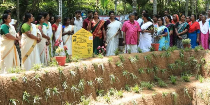 കലഞ്ഞൂര് പഞ്ചായത്ത് പതിനൊന്നാം വാര്ഡില് കുളം നിര്മിച്ചു കലഞ്ഞൂര് പഞ്ചായത്ത് പതിനൊന്നാം വാര്ഡില് കുളം നിര്മിച്ചു
