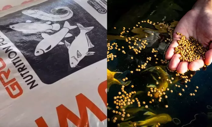 മത്സ്യതീറ്റയുടെ വ്യാജ ബില്ലുകൾ സംഘടിപ്പിച്ച് ലക്ഷങ്ങൾ തട്ടി ; വയനാട് ജില്ലാ ഫിഷറീസ് ഡിപ്പാർട്ട്മെന്റിൽ വൻ സബ്സിഡി വെട്ടിപ്പ് മത്സ്യതീറ്റയുടെ വ്യാജ ബില്ലുകൾ സംഘടിപ്പിച്ച് ലക്ഷങ്ങൾ തട്ടി ; വയനാട് ജില്ലാ ഫിഷറീസ് ഡിപ്പാർട്ട്മെന്റിൽ വൻ സബ്സിഡി വെട്ടിപ്പ്