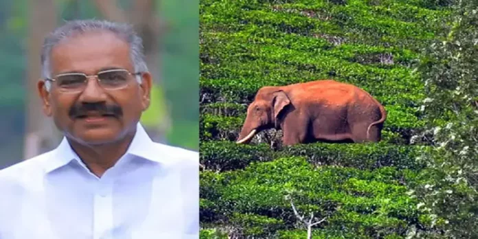 ഇന്നത്തെ ശ്രമം അവസാനിപ്പിച്ചു ; അരിക്കൊമ്പനെ പിടികൂടാനുള്ള ദൗത്യത്തിൽ നിന്ന് പിന്മാറില്ലെന്ന് വനം മന്ത്രി ഇന്നത്തെ ശ്രമം അവസാനിപ്പിച്ചു ; അരിക്കൊമ്പനെ പിടികൂടാനുള്ള ദൗത്യത്തിൽ നിന്ന് പിന്മാറില്ലെന്ന് വനം മന്ത്രി