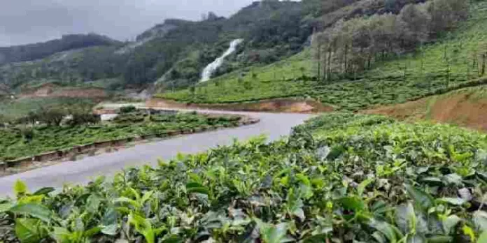 ചിന്നക്കനാലിൽ ദൗത്യം പൂർത്തീകരിക്കും വരെ നിരോധനാജ്ഞ തുടരും ചിന്നക്കനാലിൽ ദൗത്യം പൂർത്തീകരിക്കും വരെ നിരോധനാജ്ഞ തുടരും