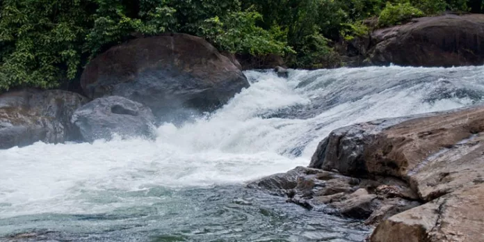 തിരുവമ്പാടി അരിപ്പാറ വെള്ളച്ചാട്ടത്തിൽ രണ്ട് വിദ്യാർത്ഥികൾ മുങ്ങിമരിച്ചു തിരുവമ്പാടി അരിപ്പാറ വെള്ളച്ചാട്ടത്തിൽ രണ്ട് വിദ്യാർത്ഥികൾ മുങ്ങിമരിച്ചു