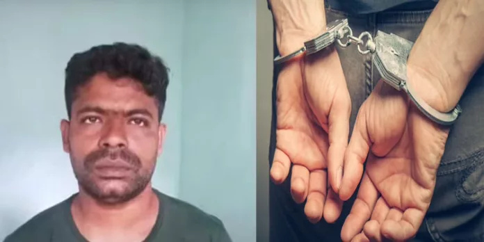 കൊച്ചിയിലെ വീട്ടില് നിന്ന് പണവും സ്വര്ണവും കവര്ന്നു ; സിനിമ ലൊക്കേഷന് മാനേജര് അറസ്റ്റില് കൊച്ചിയിലെ വീട്ടില് നിന്ന് പണവും സ്വര്ണവും കവര്ന്നു ; സിനിമ ലൊക്കേഷന് മാനേജര് അറസ്റ്റില്