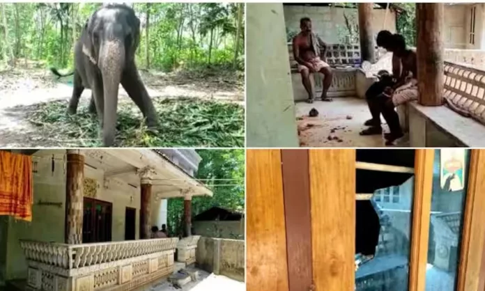 ആനയെ തൊടാന് സമ്മതിച്ചില്ല ; നെടുമങ്ങാട്ട് പാപ്പാന്മാരെ ആറംഗ സംഘം വീട് കയറി അക്രമിച്ചു ആനയെ തൊടാന് സമ്മതിച്ചില്ല ; നെടുമങ്ങാട്ട് പാപ്പാന്മാരെ ആറംഗ സംഘം വീട് കയറി അക്രമിച്ചു