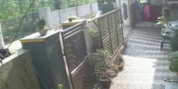 പോത്തന്കോട് വീടുകയറി ആക്രമണം : പിന്നില് ക്വട്ടേഷന് സംഘം പോത്തന്കോട് വീടുകയറി ആക്രമണം : പിന്നില് ക്വട്ടേഷന് സംഘം