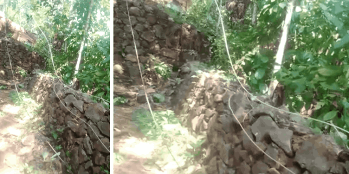 കനത്ത കാറ്റിലും മഴയിലും വൈദ്യുതി ബന്ധം നഷ്ടപ്പെട്ടു ; 3 ദിവസങ്ങളായി ആറു കുടുംബങ്ങൾ ഇരുട്ടിൽ കനത്ത കാറ്റിലും മഴയിലും വൈദ്യുതി ബന്ധം നഷ്ടപ്പെട്ടു ; 3 ദിവസങ്ങളായി ആറു കുടുംബങ്ങൾ ഇരുട്ടിൽ
