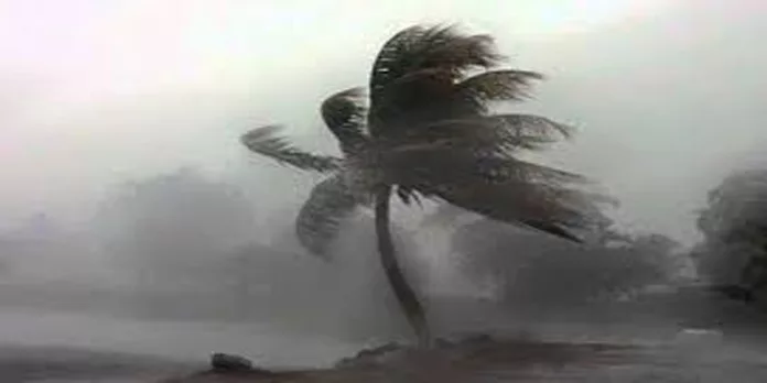 ഫിൻജാൽ ചുഴലിക്കാറ്റ് ; രാഷ്ട്രപതിയുടെ പരിപാടി റദ്ദാക്കി ഫിൻജാൽ ചുഴലിക്കാറ്റ് ; രാഷ്ട്രപതിയുടെ പരിപാടി റദ്ദാക്കി