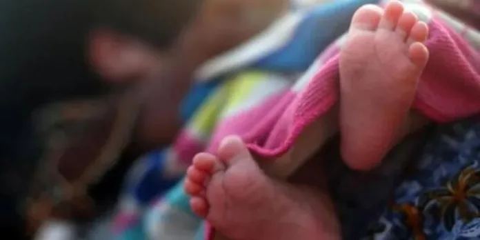 വയനാട്ടില് ആദിവാസി ദമ്പതികളുടെ കുഞ്ഞ് മരിച്ച സംഭവം ; അന്വേഷണത്തിന് ഉത്തരവിട്ട് മനുഷ്യാവകാശ കമ്മീഷന് വയനാട്ടില് ആദിവാസി ദമ്പതികളുടെ കുഞ്ഞ് മരിച്ച സംഭവം ; അന്വേഷണത്തിന് ഉത്തരവിട്ട് മനുഷ്യാവകാശ കമ്മീഷന്