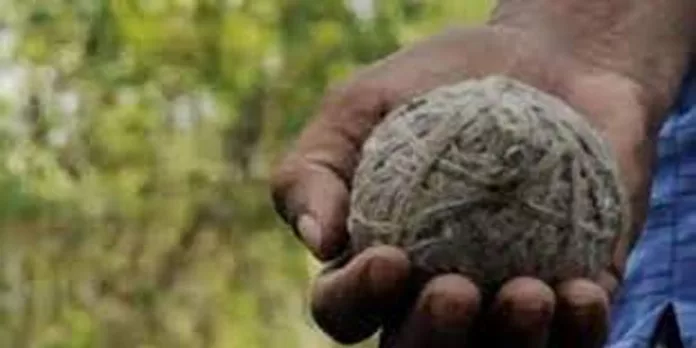 സിപിഐഎം ബ്രാഞ്ച് സെക്രട്ടറിയുടെ വീടിനുനേരെ ബോംബാക്രമണം സിപിഐഎം ബ്രാഞ്ച് സെക്രട്ടറിയുടെ വീടിനുനേരെ ബോംബാക്രമണം