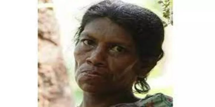 കോഴിക്കോട് കട്ടിപ്പാറയില് ആദിവാസി സ്ത്രീയുടെ മരണം ; കൂടുതല് ദുരൂഹമരണങ്ങളില് പുനരന്വേഷണത്തിന് ആവശ്യം കോഴിക്കോട് കട്ടിപ്പാറയില് ആദിവാസി സ്ത്രീയുടെ മരണം ; കൂടുതല് ദുരൂഹമരണങ്ങളില് പുനരന്വേഷണത്തിന് ആവശ്യം