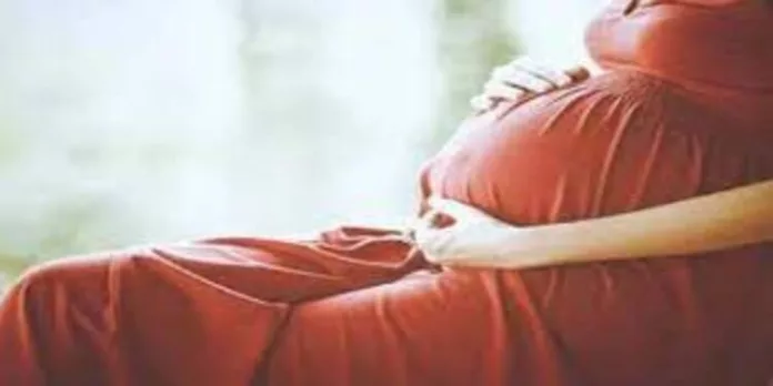 അധ്യാപികമാരുടെ പ്രസവാവധി തട്ടിപ്പ് ; വിദ്യാഭ്യാസ വകുപ്പ് റിപ്പോർട്ട് തേടി അധ്യാപികമാരുടെ പ്രസവാവധി തട്ടിപ്പ് ; വിദ്യാഭ്യാസ വകുപ്പ് റിപ്പോർട്ട് തേടി