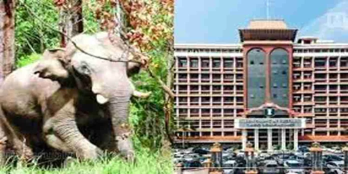 മിഷൻ അരിക്കൊമ്പൻ ; ഇന്ന് അഞ്ചംഗ സമിതി ഹൈക്കോടതിയിൽ സമവായ റിപ്പോർട്ട് സമർപ്പിക്കും മിഷൻ അരിക്കൊമ്പൻ ; ഇന്ന് അഞ്ചംഗ സമിതി ഹൈക്കോടതിയിൽ സമവായ റിപ്പോർട്ട് സമർപ്പിക്കും
