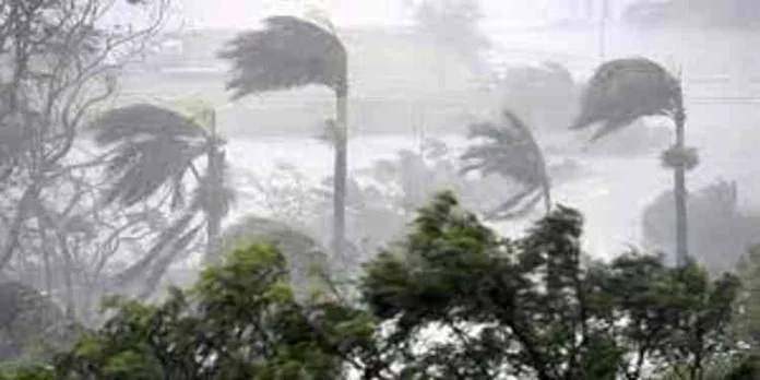 ശക്തമായ കാറ്റ് ; തെങ്ങ്കടപുഴകി വീണ് മധ്യവയസ്കന് ദാരുണാന്ത്യം ശക്തമായ കാറ്റ് ; തെങ്ങ്കടപുഴകി വീണ് മധ്യവയസ്കന് ദാരുണാന്ത്യം