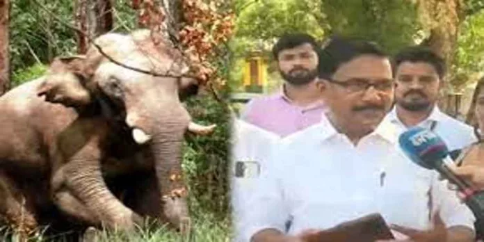 അരിക്കൊമ്പനെ പറമ്പിക്കുളത്ത് തുറന്ന് വിടരുതെന്ന് ചാലക്കുടി എം.എല്.എ കെ. ബാബു അരിക്കൊമ്പനെ പറമ്പിക്കുളത്ത് തുറന്ന് വിടരുതെന്ന് ചാലക്കുടി എം.എല്.എ കെ. ബാബു