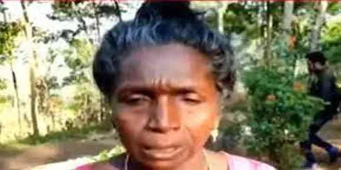 ജീവൻ കയ്യിൽപിടിച്ചാണ് ഇറങ്ങിയോടിയത് ; ഇടുക്കിയിൽ വീണ്ടും അരിക്കൊമ്പന്റെ ആക്രമണം ജീവൻ കയ്യിൽപിടിച്ചാണ് ഇറങ്ങിയോടിയത് ; ഇടുക്കിയിൽ വീണ്ടും അരിക്കൊമ്പന്റെ ആക്രമണം