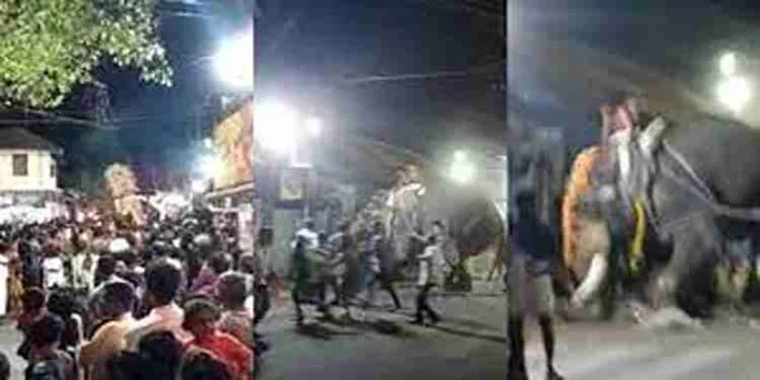 മദ്യലഹരിയിൽ ആനയുടെ വാലിൽ പിടിച്ചു ; ശ്രീകാര്യത്ത് ആന വിരണ്ടോടി മദ്യലഹരിയിൽ ആനയുടെ വാലിൽ പിടിച്ചു ; ശ്രീകാര്യത്ത് ആന വിരണ്ടോടി