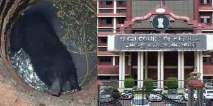 ‘ കരടി ചത്തതിൽ വനം വകുപ്പ് ഉദ്യോഗസ്ഥർക്ക് മേൽ എങ്ങനെ ക്രിമിനൽ ബാധ്യത ചുമത്തും ? ‘ ; ഹൈക്കോടതി ‘ കരടി ചത്തതിൽ വനം വകുപ്പ് ഉദ്യോഗസ്ഥർക്ക് മേൽ എങ്ങനെ ക്രിമിനൽ ബാധ്യത ചുമത്തും ? ‘ ; ഹൈക്കോടതി