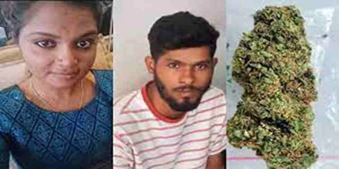 ആഡംബര ബസിൽ തായ്ലൻഡ് കഞ്ചാവുമായെത്തിയ യുവതിയും യുവാവും പിടിയിൽ ആഡംബര ബസിൽ തായ്ലൻഡ് കഞ്ചാവുമായെത്തിയ യുവതിയും യുവാവും പിടിയിൽ