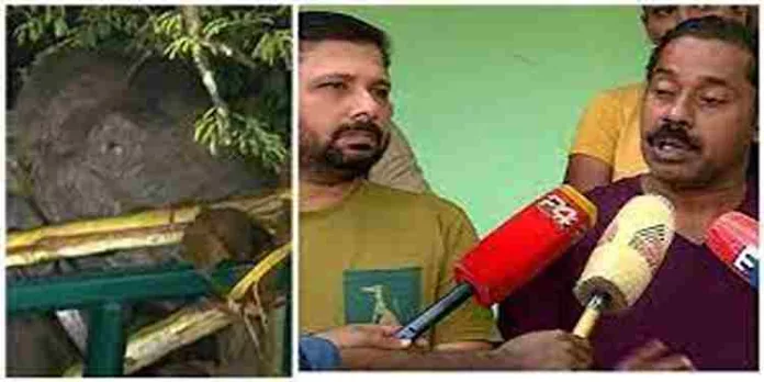 ‘അഞ്ച് മയക്കുവെടി വെച്ചത് അരിക്കൊമ്പന്റെ ആരോഗ്യത്തെ ബാധിക്കില്ല’; നിരീക്ഷണം തുടരുമെന്ന് ദൗത്യസംഘം ‘അഞ്ച് മയക്കുവെടി വെച്ചത് അരിക്കൊമ്പന്റെ ആരോഗ്യത്തെ ബാധിക്കില്ല’; നിരീക്ഷണം തുടരുമെന്ന് ദൗത്യസംഘം