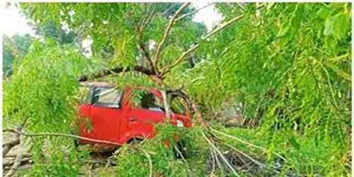 കാറ്റും മഴയും; കുട്ടനാട്ടിൽ വ്യാപക നാശനഷ്ടം കാറ്റും മഴയും; കുട്ടനാട്ടിൽ വ്യാപക നാശനഷ്ടം