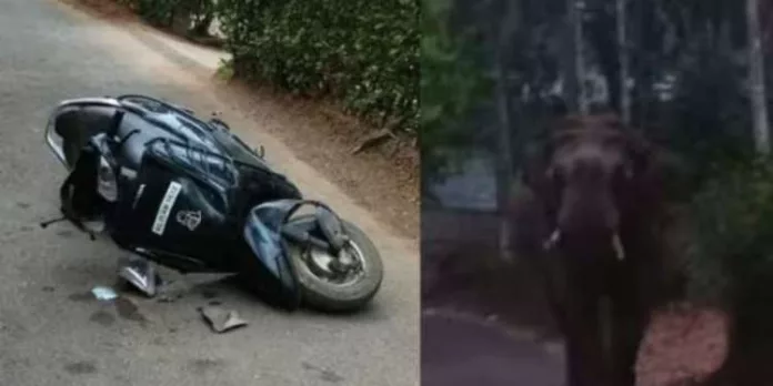 ബൈക്ക് യാത്രക്കാരന് നേരെ കാട്ടാനയുടെ ആക്രമണം ; യുവാവ് രക്ഷപ്പെട്ടത് തലനാരിഴയ്ക്ക് ബൈക്ക് യാത്രക്കാരന് നേരെ കാട്ടാനയുടെ ആക്രമണം ; യുവാവ് രക്ഷപ്പെട്ടത് തലനാരിഴയ്ക്ക്
