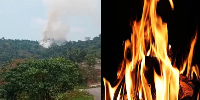 കോഴിക്കോട് ചിപ്പിലിത്തോട് മലയില് തീപിടുത്തം കോഴിക്കോട് ചിപ്പിലിത്തോട് മലയില് തീപിടുത്തം
