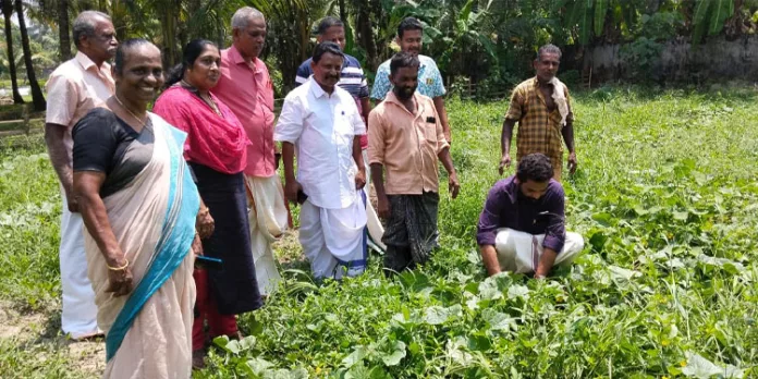 വിഷുവിന് ഒരുങ്ങി പന്തളം തെക്കേക്കര വിഷുവിന് ഒരുങ്ങി പന്തളം തെക്കേക്കര