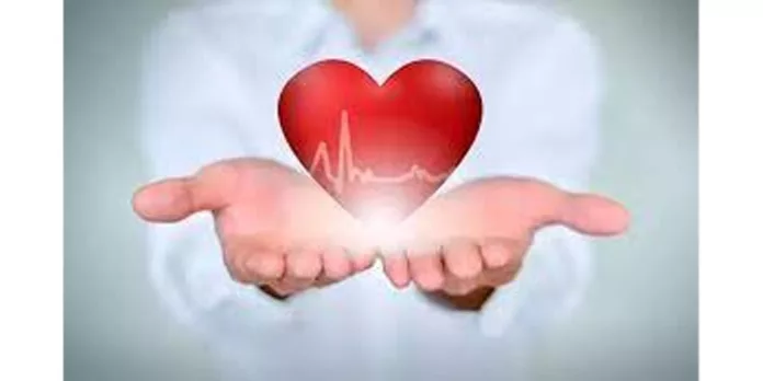ഹൃദയത്തെ ആരോഗ്യത്തോടെ കാത്തുസൂക്ഷിക്കാന് കഴിക്കേണ്ട ഭക്ഷണങ്ങള് ഹൃദയത്തെ ആരോഗ്യത്തോടെ കാത്തുസൂക്ഷിക്കാന് കഴിക്കേണ്ട ഭക്ഷണങ്ങള്